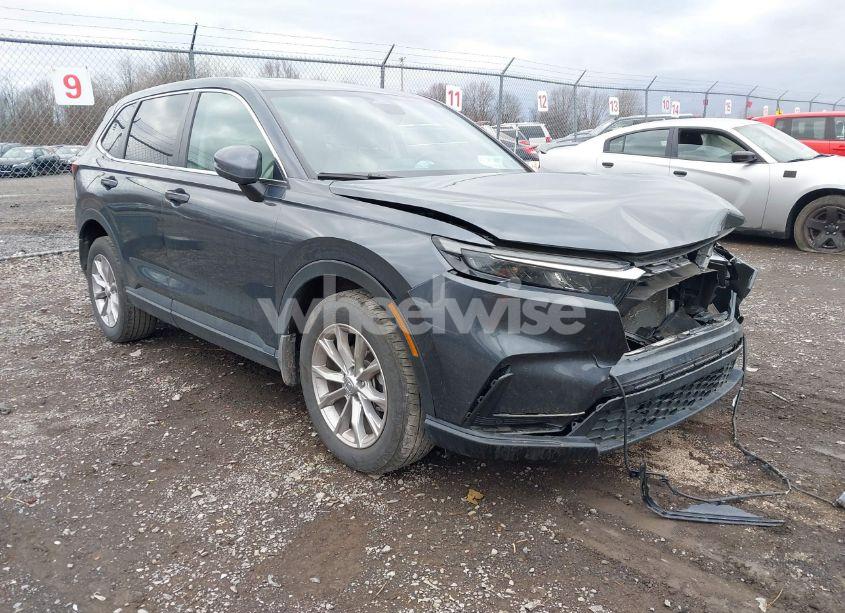 2024 Honda Cr-v EX-L (VIN 2HKRS4H70RH480504) main photo