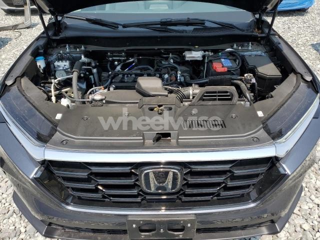 2025 HONDA CR-V EXL N/A (VIN 2HKRS4H70SH423595) main photo