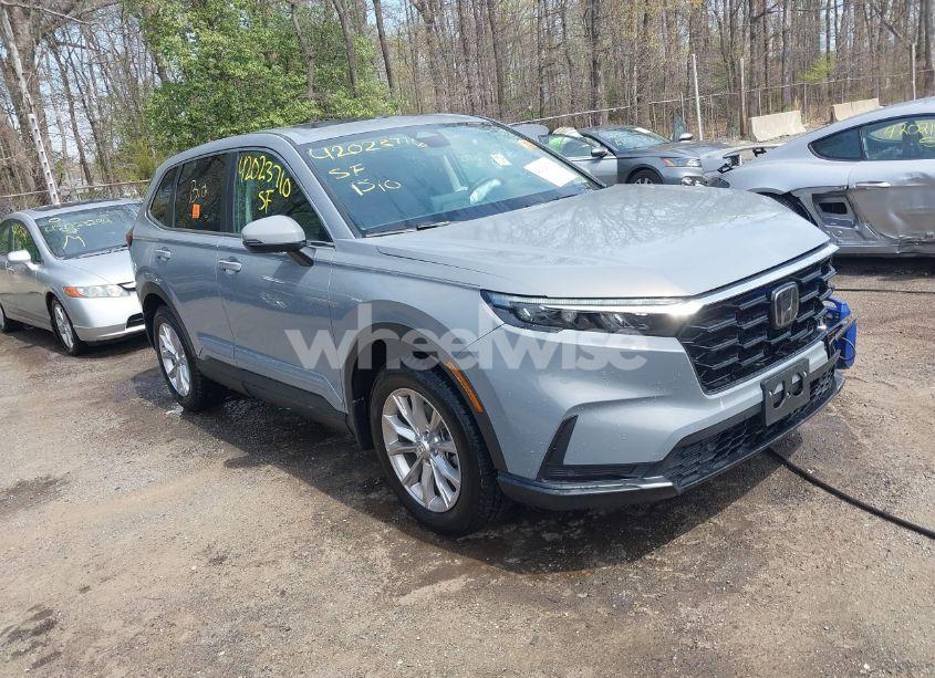 2024 Honda Cr-v EX-L AWD (VIN 2HKRS4H71RH486389) main photo