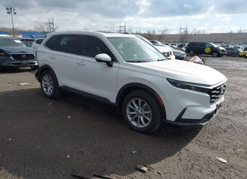 2024 Honda Cr-v EX-L AWD (VIN 2HKRS4H73RH418952) main photo