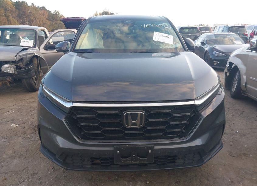 Photo 12 of 2024 Honda Cr-v EX-L (VIN 2HKRS4H73RH453331)