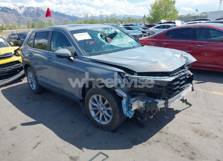 2024 Honda Cr-v EX-L AWD (VIN 2HKRS4H75RH427443) main photo