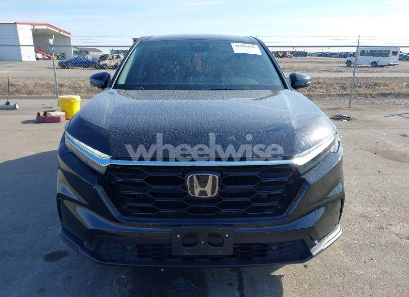 Photo 12 of 2025 Honda Cr-v EX-L AWD (VIN 2HKRS4H75SH457211)