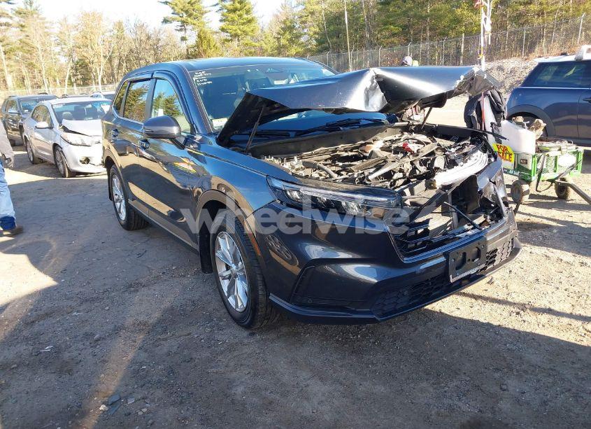 2024 Honda Cr-v EX-L AWD (VIN 2HKRS4H76RH443179) main photo