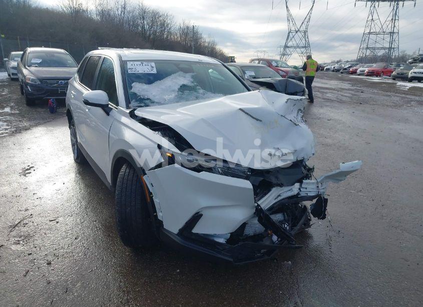 Photo 18 of 2025 Honda Cr-v EX-L AWD (VIN 2HKRS4H76SH437842)