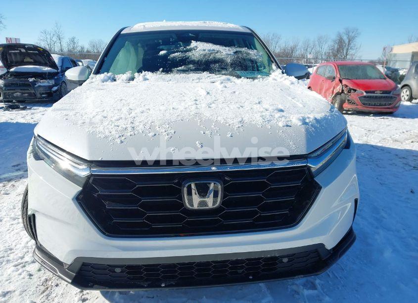 Photo 12 of 2025 Honda Cr-v EX-L AWD (VIN 2HKRS4H77SH404266)