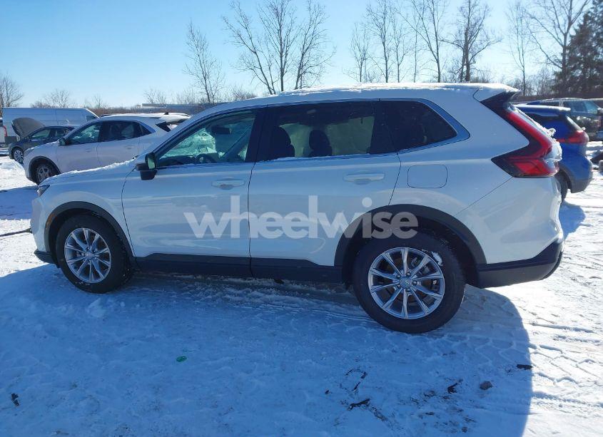 Photo 14 of 2025 Honda Cr-v EX-L AWD (VIN 2HKRS4H77SH404266)