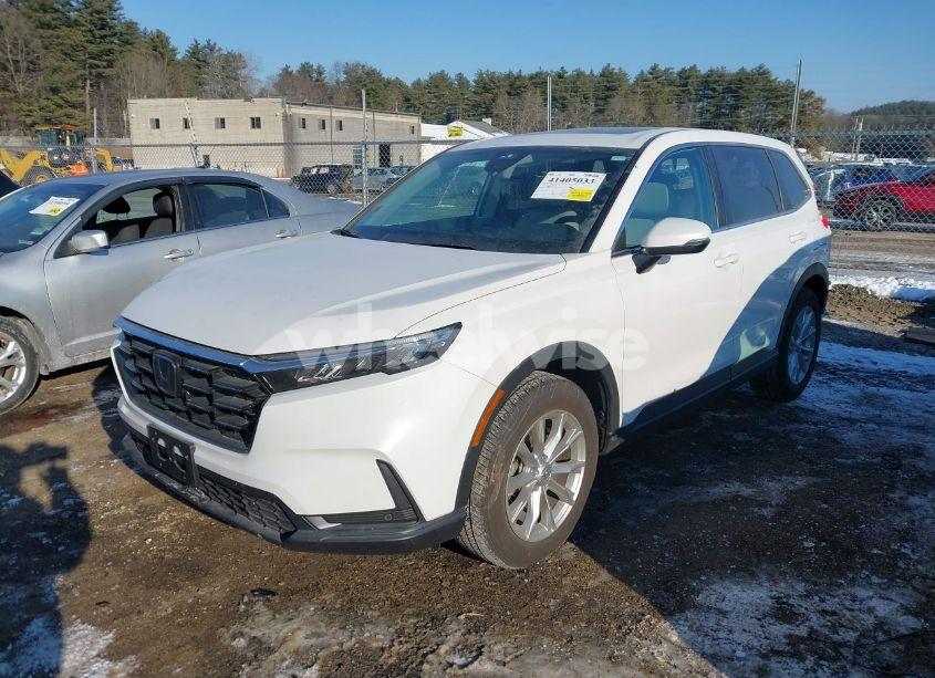 2024 Honda Cr-v EX-L AWD (VIN 2HKRS4H78RH421233) main photo