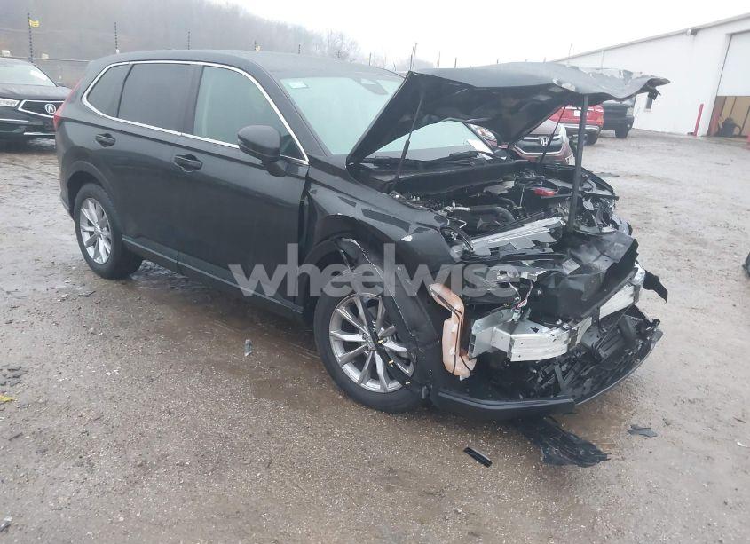 2024 Honda Cr-v EX-L AWD (VIN 2HKRS4H78RH443572) main photo