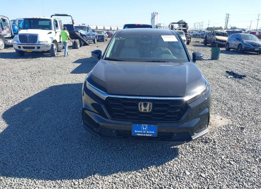 Photo 13 of 2024 Honda Cr-v EX-L AWD (VIN 2HKRS4H7XRH463760)