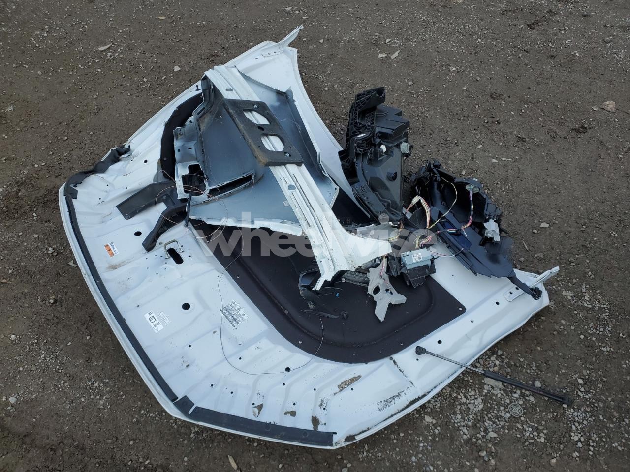 Photo 13 of 2025 HONDA CR-V EXL N/A (VIN 2HKRS6H78SH222233)