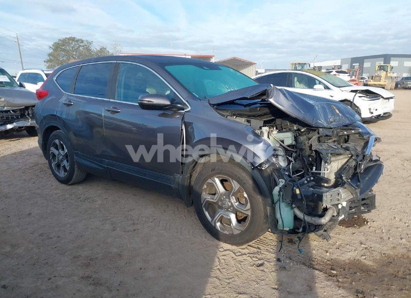 2019 Honda Cr-v EX (VIN 2HKRW1H50KH508678) main photo