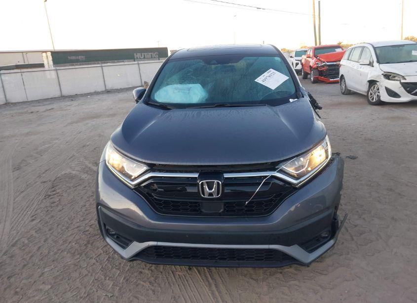 Photo 12 of 2020 Honda Cr-v 2WD EX (VIN 2HKRW1H52LH405764)