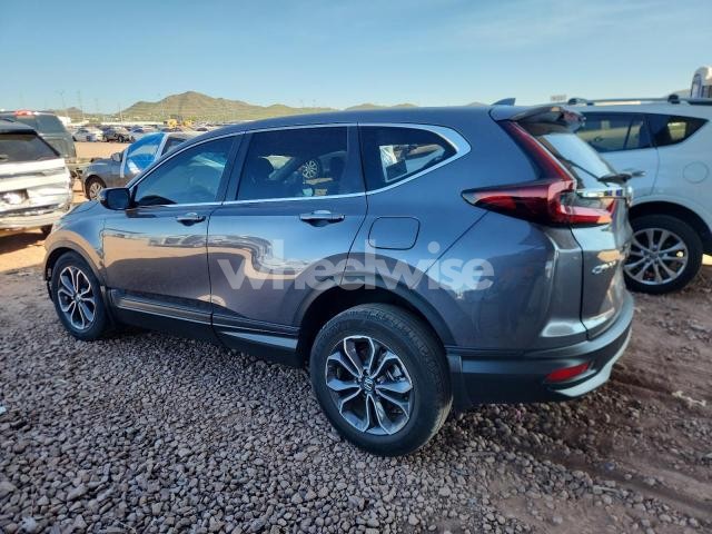 Photo 3 of 2020 HONDA CR-V EX (VIN 2HKRW1H56LH424706)