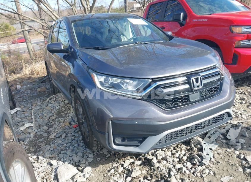 2020 Honda Cr-v 2WD EX (VIN 2HKRW1H59LH410055) main photo