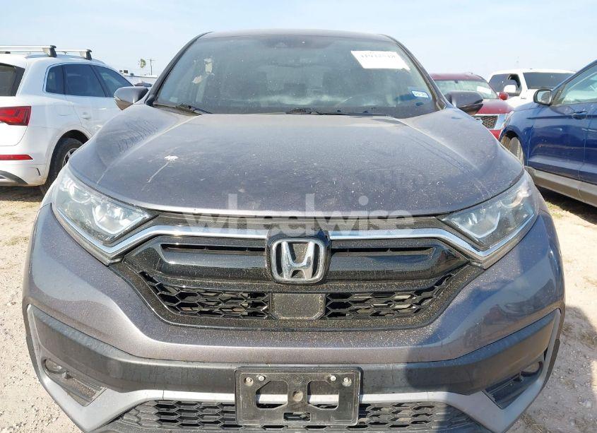 Photo 12 of 2021 Honda Cr-v 2WD EX-L (VIN 2HKRW1H80MH415821)