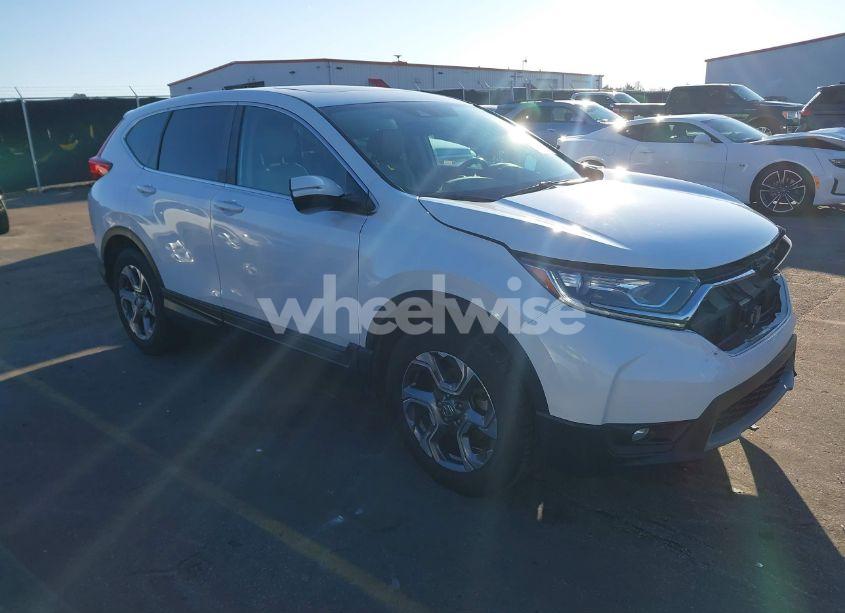 2019 Honda Cr-v EX-L (VIN 2HKRW1H83KH516249) main photo