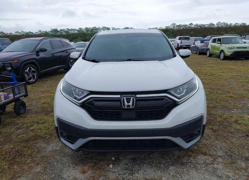 Photo 12 of 2020 Honda Cr-v 2WD EX-L (VIN 2HKRW1H84LH406571)