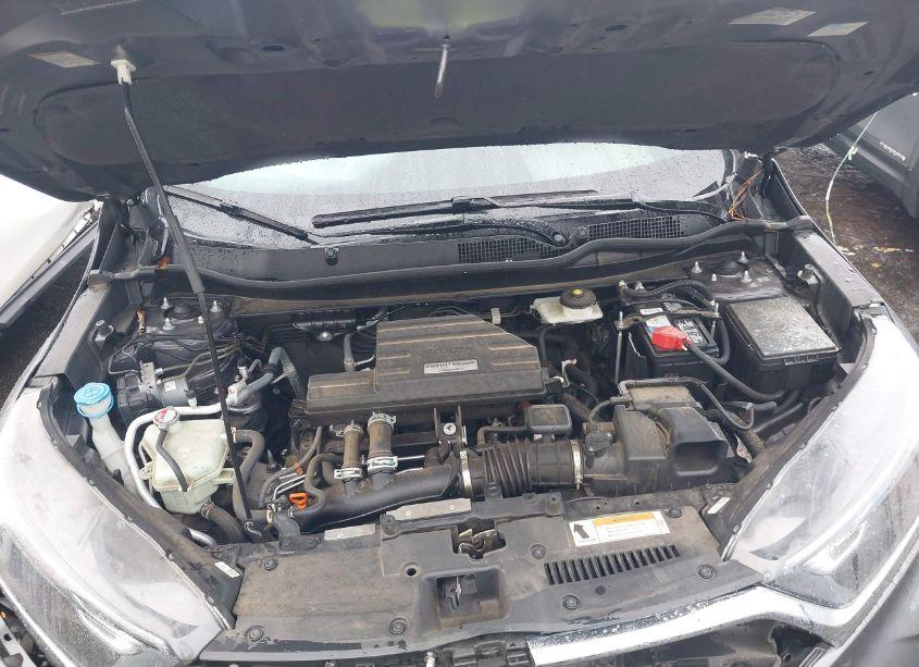 Photo 10 of 2019 Honda Cr-v EX-L (VIN 2HKRW1H85KH514888)