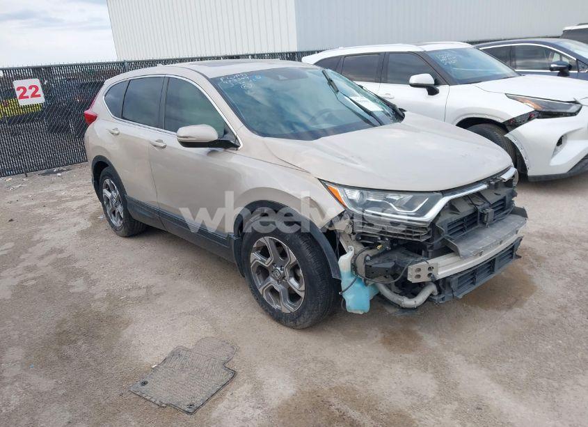 2019 Honda Cr-v EX-L (VIN 2HKRW1H88KH503125) main photo