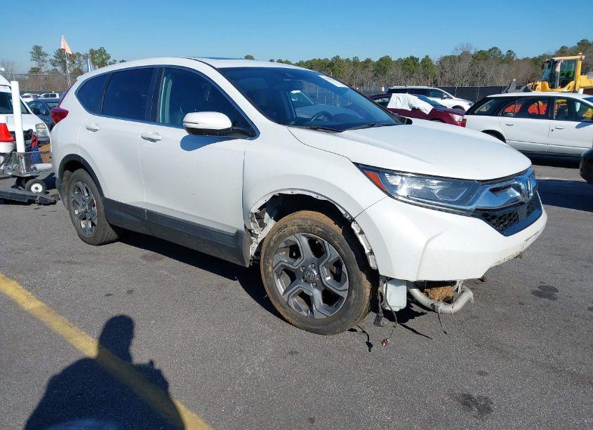 2019 Honda Cr-v EX-L (VIN 2HKRW1H89KH506955) main photo
