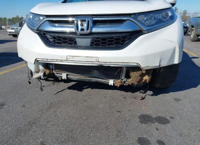 Photo 6 of 2019 Honda Cr-v EX-L (VIN 2HKRW1H89KH506955)