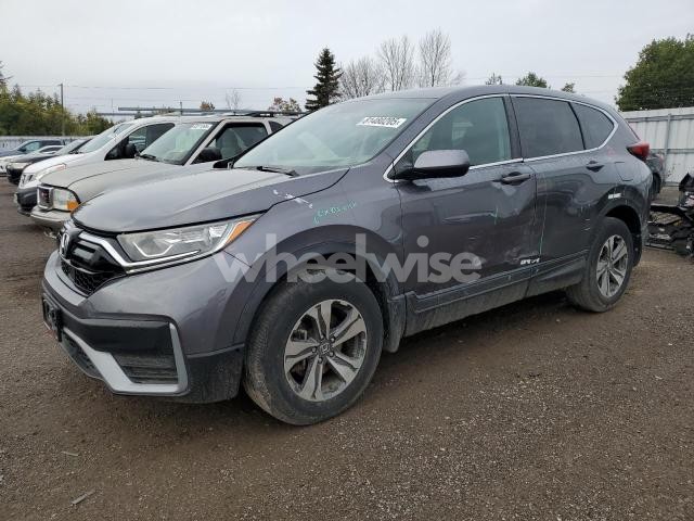 Photo 6 of 2020 HONDA CR-V LX (VIN 2HKRW2H21LH240141)