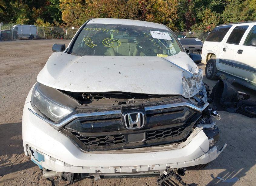 Photo 12 of 2020 Honda Cr-v AWD LX (VIN 2HKRW2H22LH602316)