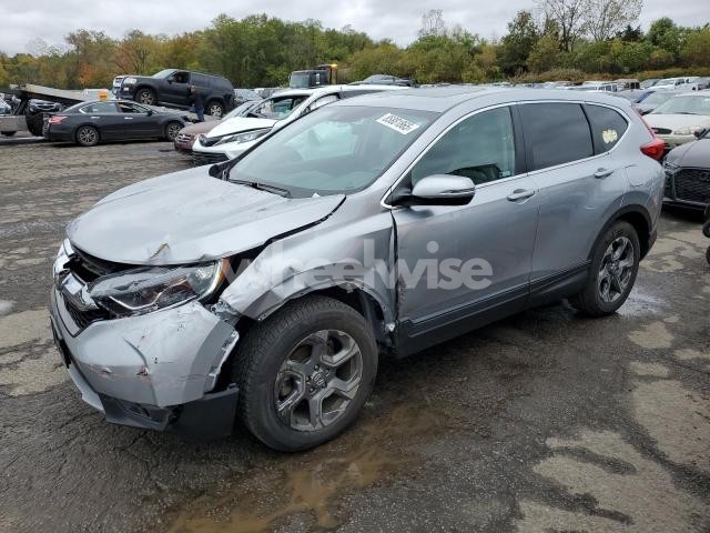Photo 12 of 2019 HONDA CR-V EX (VIN 2HKRW2H51KH634604)