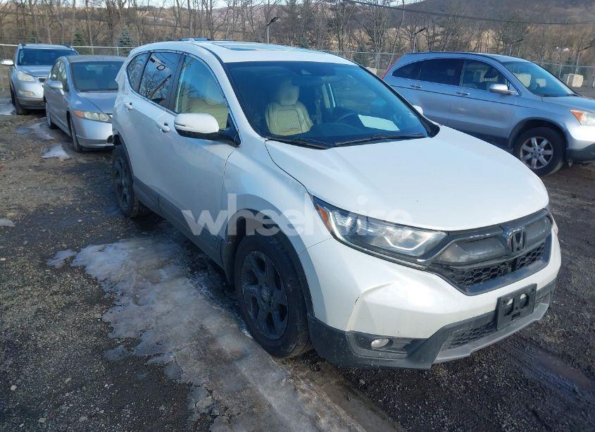 2019 Honda Cr-v EX (VIN 2HKRW2H51KH648275) main photo