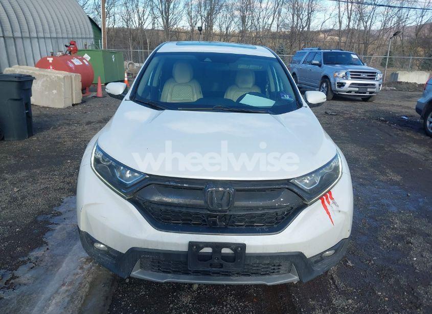 Photo 12 of 2019 Honda Cr-v EX (VIN 2HKRW2H51KH648275)