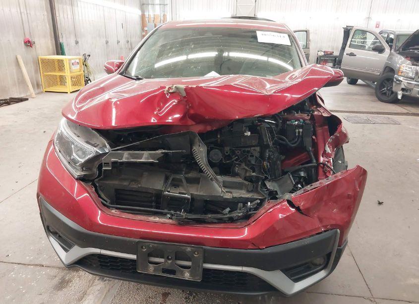 Photo 6 of 2022 Honda Cr-v AWD EX (VIN 2HKRW2H52NH606623)