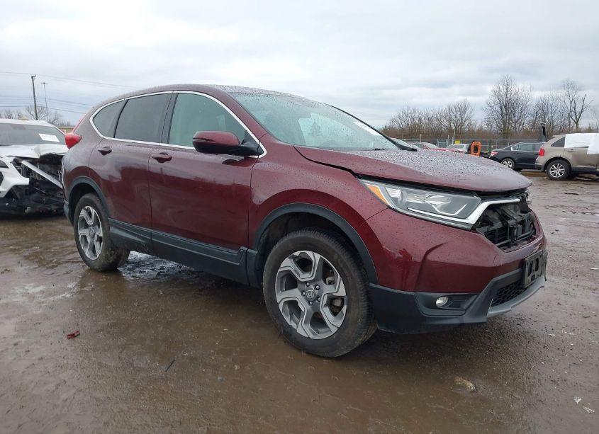 2019 Honda Cr-v EX (VIN 2HKRW2H53KH655406) main photo