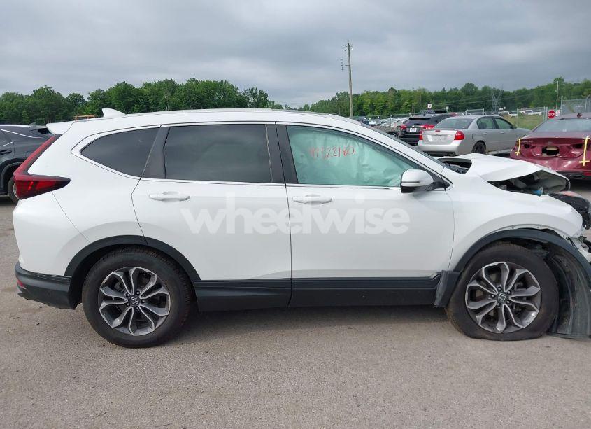 Photo 13 of 2020 Honda Cr-v AWD EX (VIN 2HKRW2H53LH600486)