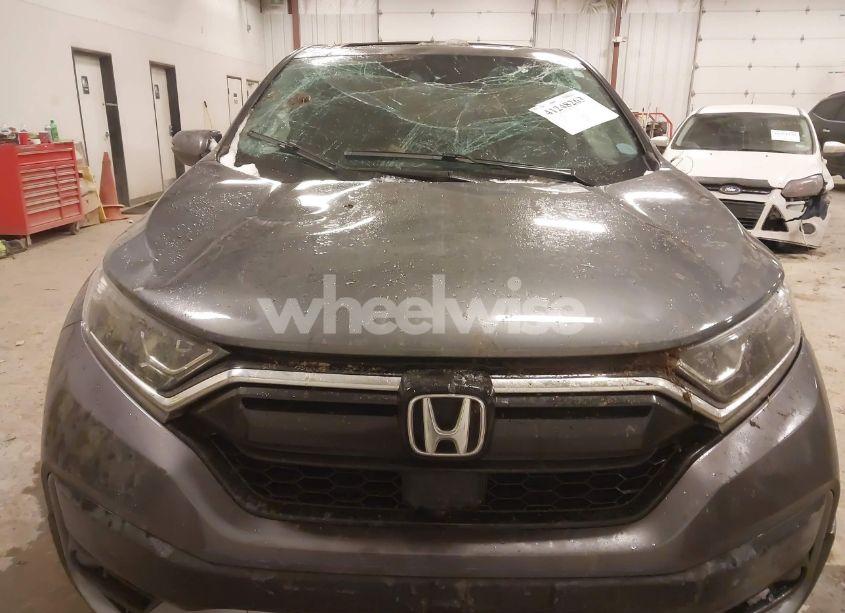 Photo 11 of 2020 Honda Cr-v AWD EX (VIN 2HKRW2H53LH654225)