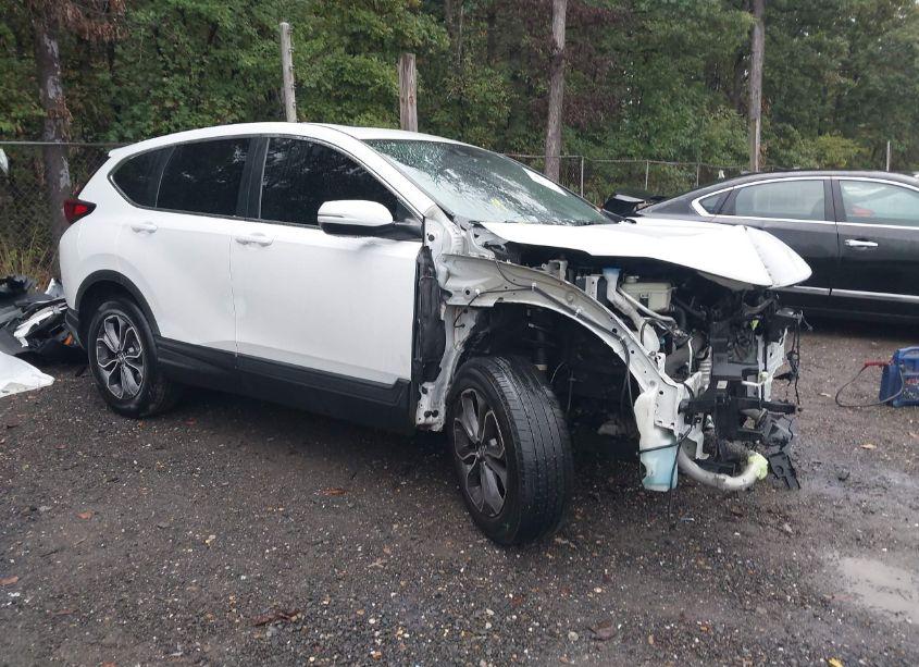 2020 Honda Cr-v AWD EX (VIN 2HKRW2H53LH656489) main photo