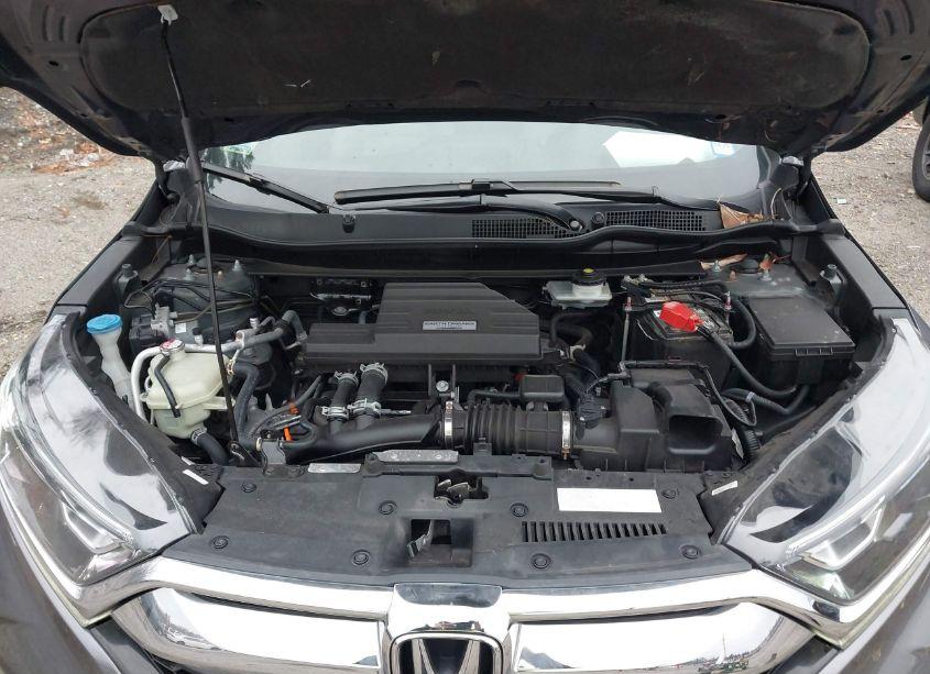 Photo 10 of 2019 Honda Cr-v EX (VIN 2HKRW2H56KH616180)