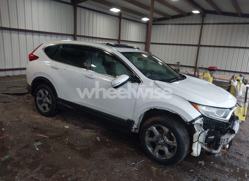 2019 Honda Cr-v EX (VIN 2HKRW2H56KH641449) main photo