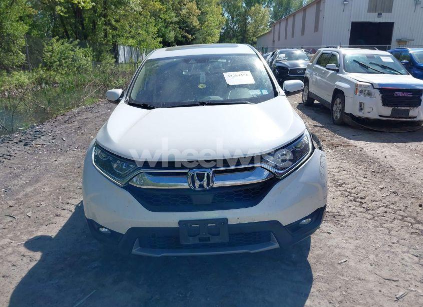 Photo 12 of 2019 Honda Cr-v EX (VIN 2HKRW2H56KH666061)