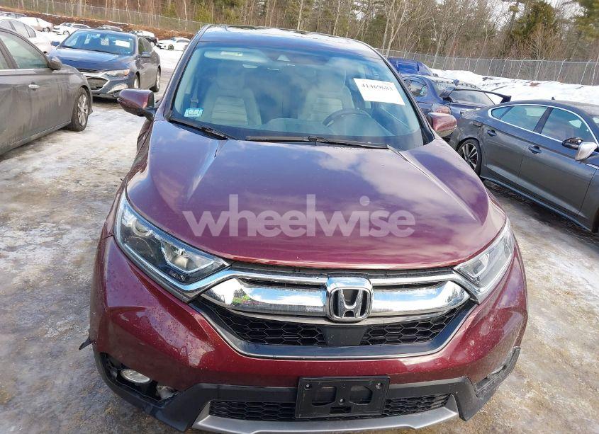 Photo 12 of 2019 Honda Cr-v EX (VIN 2HKRW2H56KH668604)