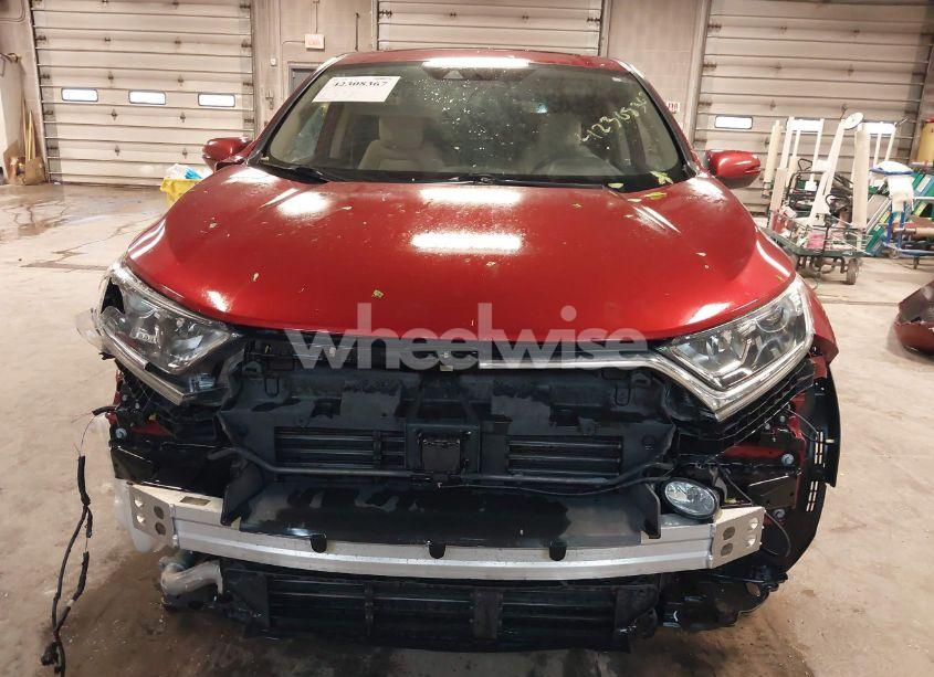 Photo 12 of 2019 Honda Cr-v EX (VIN 2HKRW2H57KH604457)