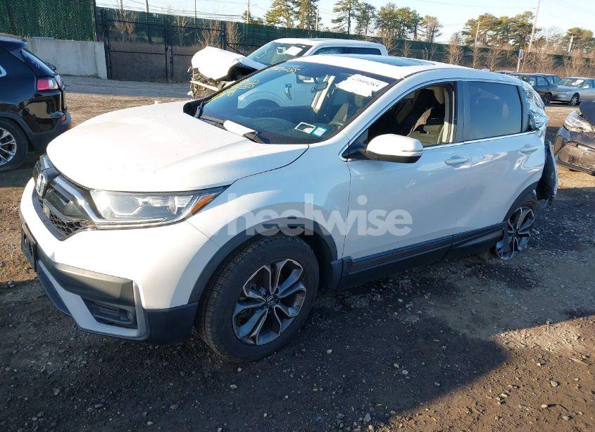 Photo 2 of 2021 Honda Cr-v AWD EX (VIN 2HKRW2H57MH630995)