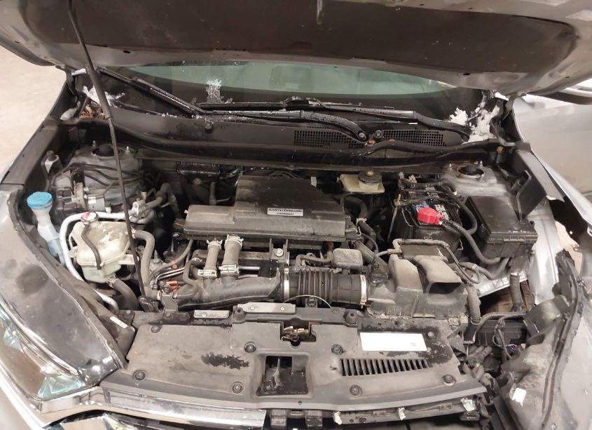 Photo 10 of 2019 Honda Cr-v EX (VIN 2HKRW2H59KH660741)