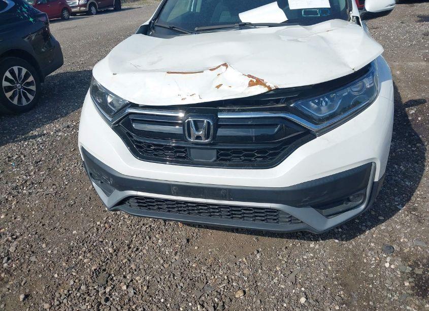 Photo 12 of 2020 Honda Cr-v AWD EX (VIN 2HKRW2H5XLH611579)