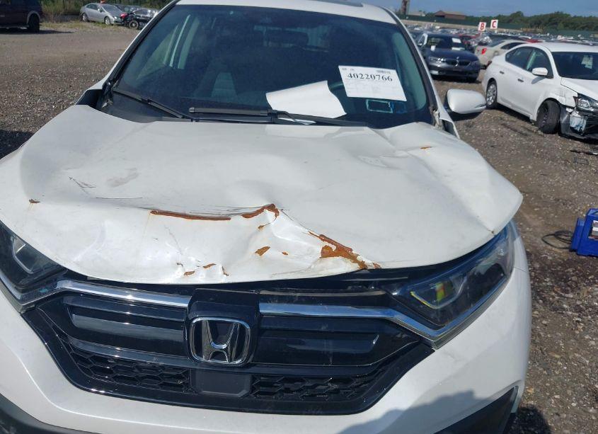 Photo 6 of 2020 Honda Cr-v AWD EX (VIN 2HKRW2H5XLH611579)