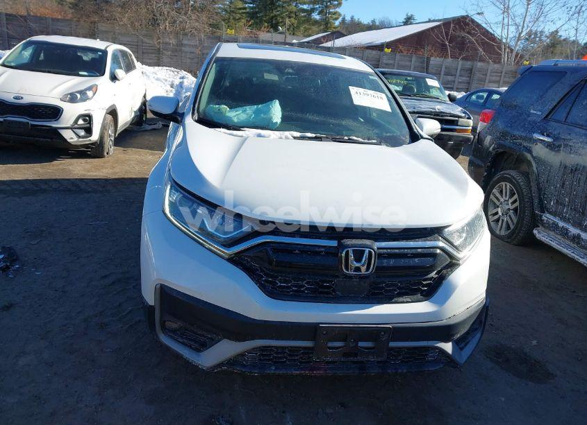 Photo 12 of 2020 Honda Cr-v AWD EX-L (VIN 2HKRW2H81LH649664)