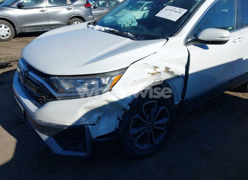 Photo 6 of 2020 Honda Cr-v AWD EX-L (VIN 2HKRW2H81LH649664)