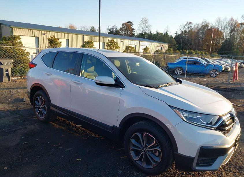 2022 Honda Cr-v AWD EX-L (VIN 2HKRW2H81NH635413) main photo