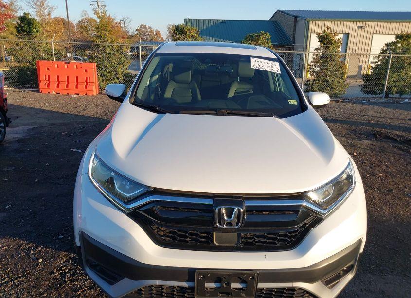 Photo 6 of 2022 Honda Cr-v AWD EX-L (VIN 2HKRW2H81NH635413)