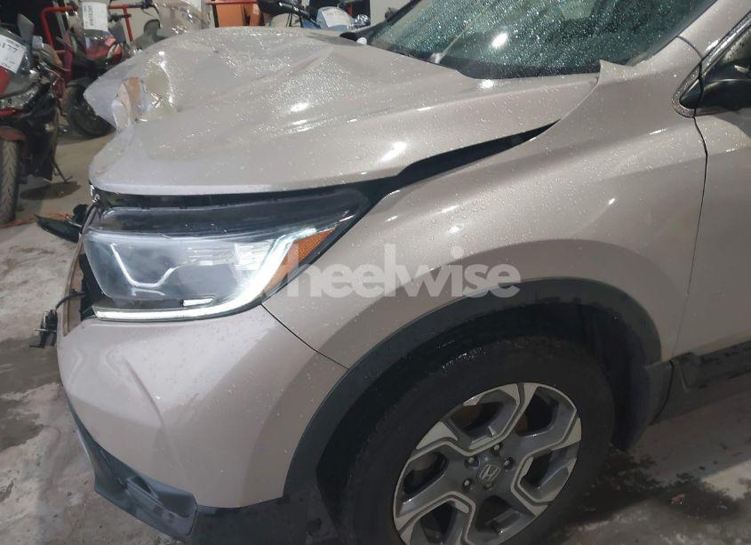 Photo 19 of 2019 Honda Cr-v EX-L (VIN 2HKRW2H82KH624061)